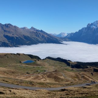 grindelwald_3