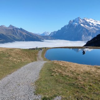 grindelwald_2