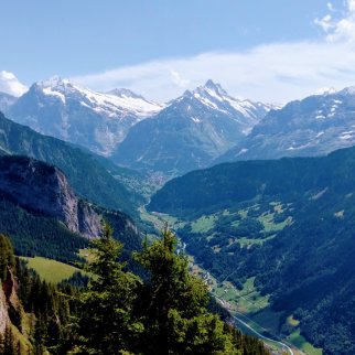 grindelwald_4